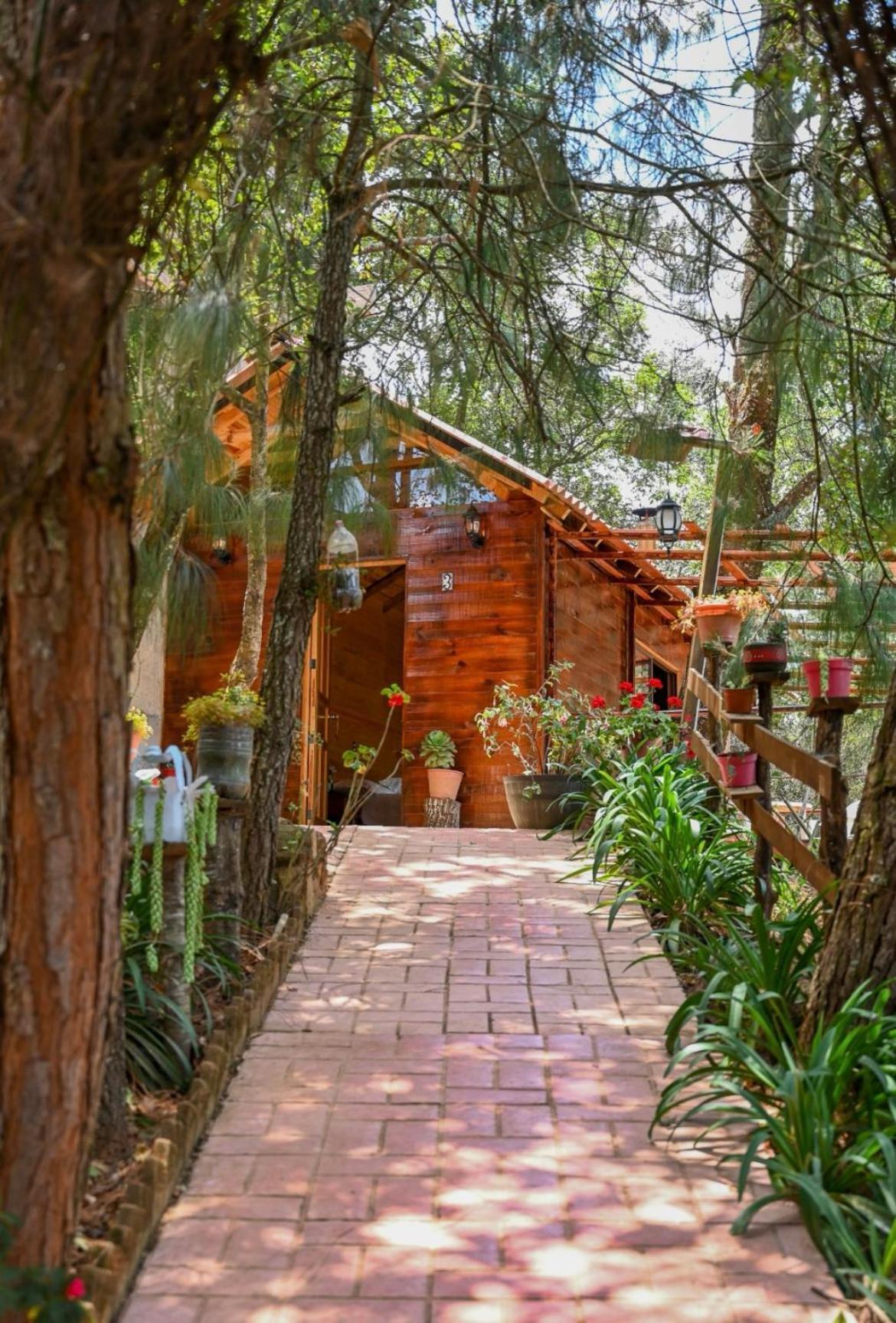 San Jose Del Pacifico- Cabanas Camino Al Cielo 3 Exterior photo